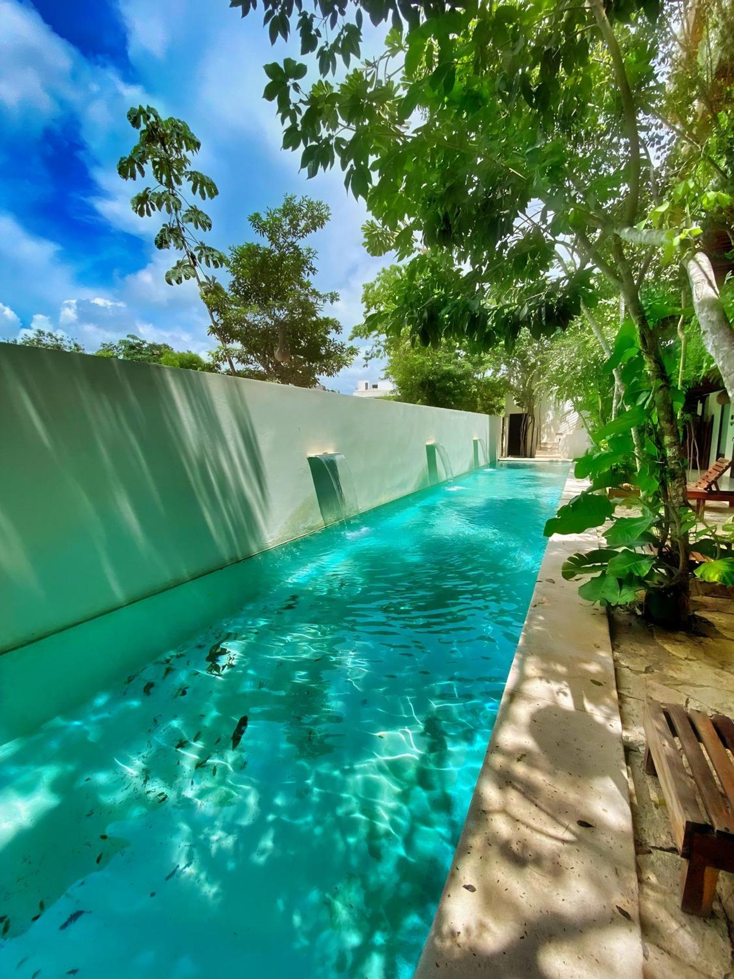 Apartment 5th Avenue Near Zamna Kuc2 *